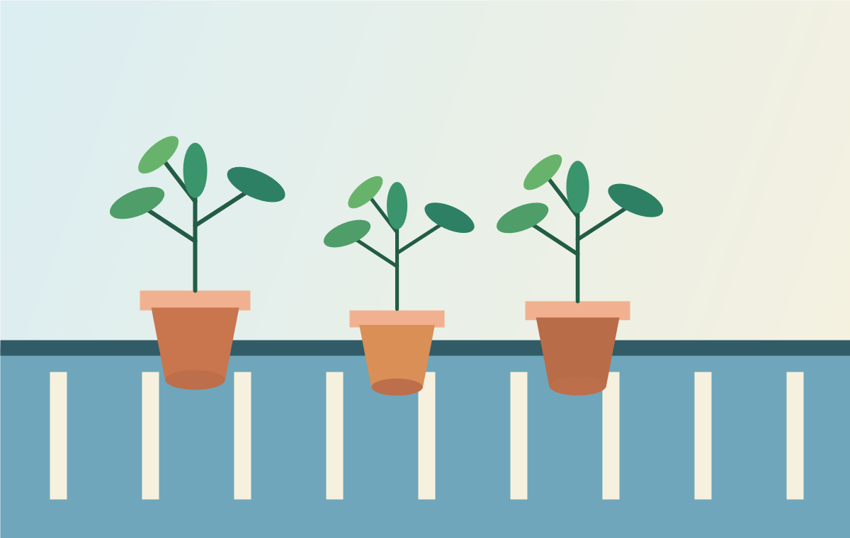 How to Start a Balcony Garden That Survives Real Life illustration
