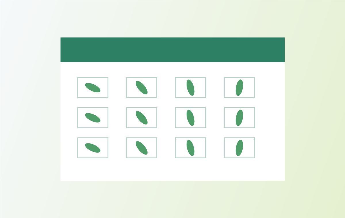 A Month-by-Month Care Calendar for Urban Gardeners illustration