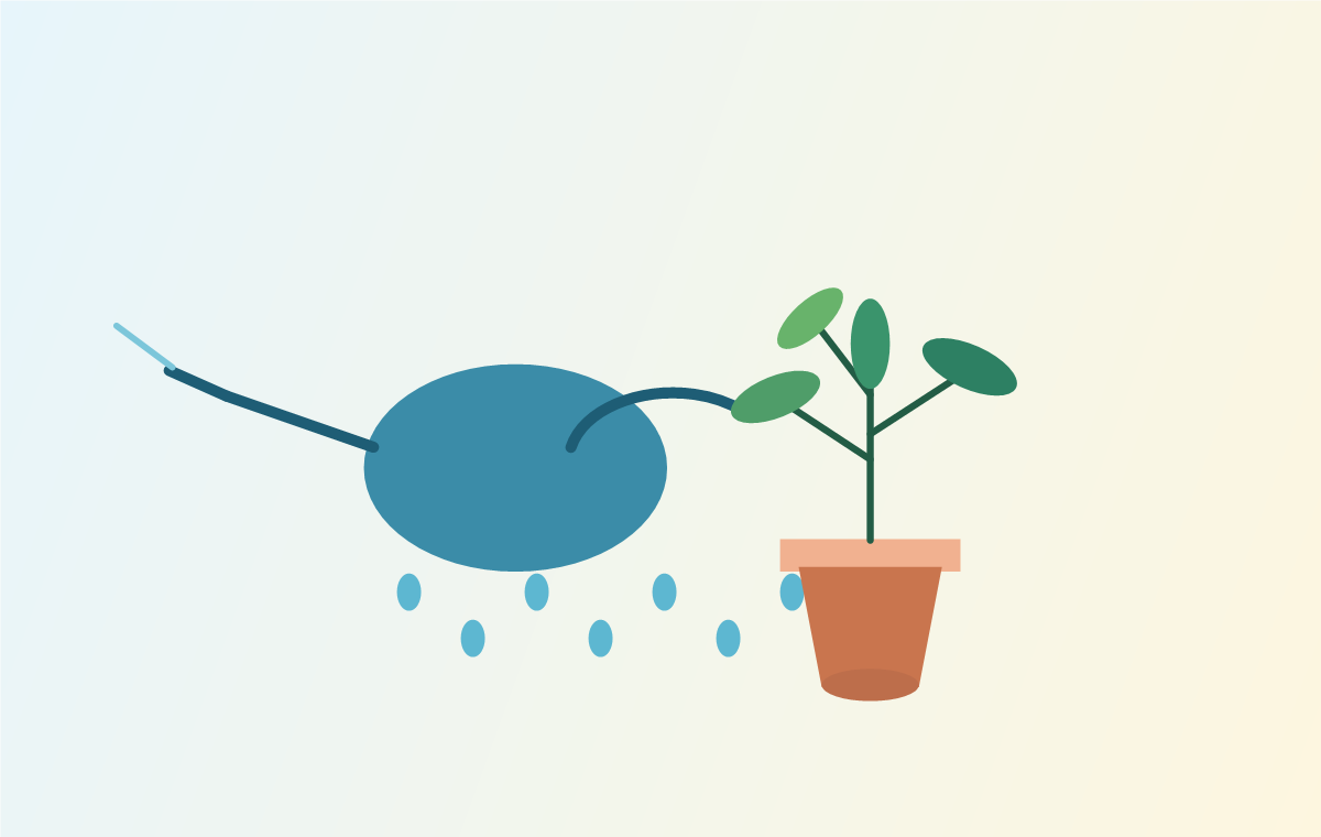 A Simple Watering Routine for Houseplants illustration